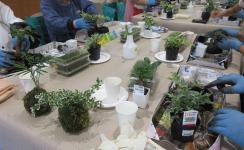 苔玉を制作する参加者の手元