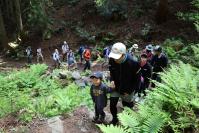 登山道で、親子が手をつなぎ、後ろに続く登山グループとともに登っている