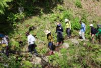 沢のある山道を、登山者たちが列になって歩いている