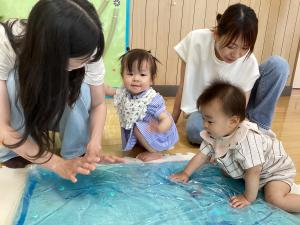 魚を見つけました