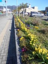 プラザ萬象前の花壇の画像