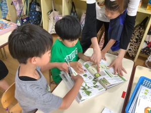 野菜の図鑑を見ている画像