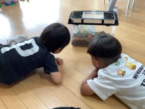 かたつむりを見ている画像