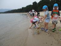 海辺で遊んでいる画像