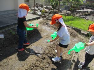 3歳児が水やりをしている画像