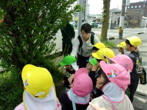 葉っぱのうえにテントウムシの卵を発見した子どもたちの画像