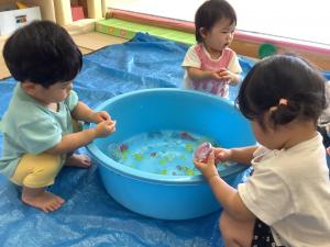 寒天ゼリーに触れている画像