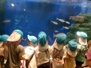 子ども達が水槽の中の魚を見ている画像