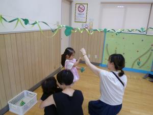 ぶどうを採っている画像