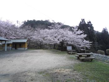 キャンプファイヤーやバーベキュー