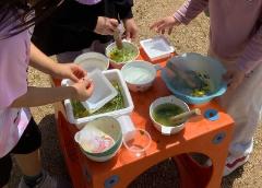 どのような色が出てくるのかな