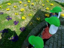 こもも組がお花を見ています