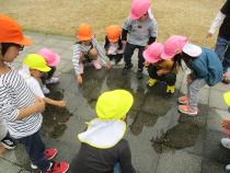 子ども達が水たまりを見ています