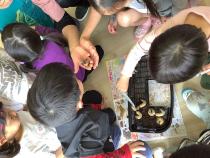 カブトムシの幼虫を見ています