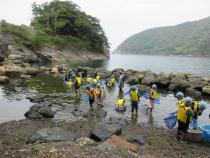 磯遊びをしています