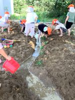 川の横に草が生えていることを発見した子ども