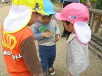 ダンゴムシを見ている子ども達