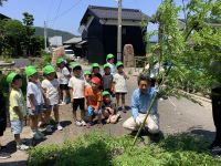 七夕の笹をもらっている