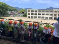 体育大会で小学校1年生を応援する園児