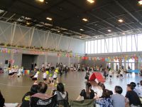 うさぎ組のサーキット