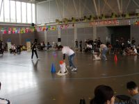 ぱんだ組の親子遊び