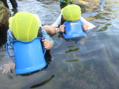 めろん組が磯で生き物を探しています