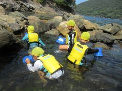 友だちと一緒に海の生き物を探しています