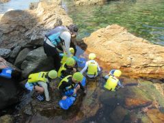 海の生き物を見つけた様子です
