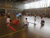 みかん組がサーキット遊びをしています