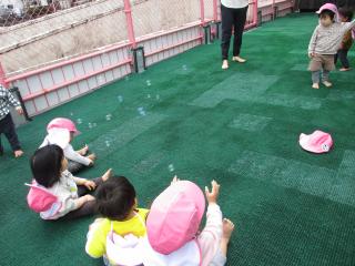 きんぎょぐみの画像