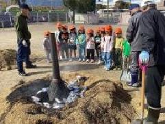 ばなな組が焼き芋の様子を見ています