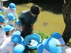 ザリガニを見ています