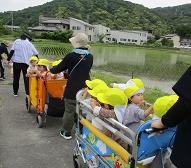 みかん組が農道を散歩しています