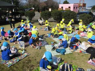 芝生でお弁当を食べています