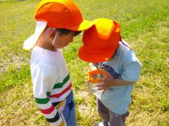 おたまじゃくしをみている写真