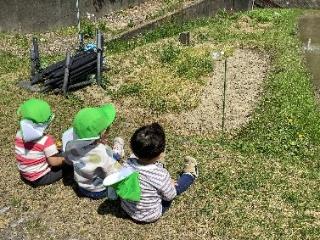 散歩で見つけた風車を見ています