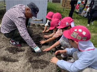 保育キーパーの方と野菜の苗植えをしています
