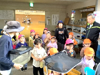 東郷コミュニティーセンターの方からおたまじゃくしをもらっています