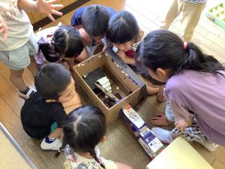 みかん・めろん組がカミキリ虫の家を作り、みんなで見ています。