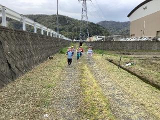 いちご組が農道でかけっこをしています