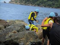 岩場でカニを見つけた