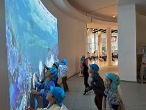 動く魚にタッチする遊び