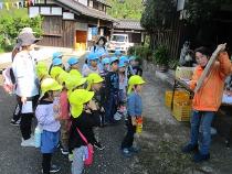 みかんの採り方を教えてもらっている