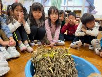 豆まき用の大豆