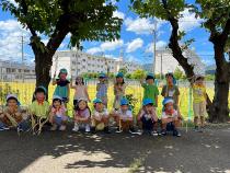 収穫した稲と記念撮影