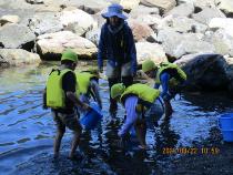 海の中を観察している