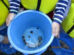 海で見つけたもの