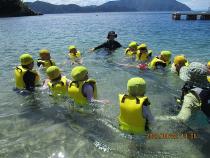 手をつないで泳いでいる