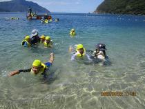 海で泳いでいる