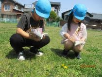 図鑑で名前を調べている